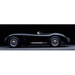 1951 Jaguar C-Type,Don Heiny,Quadro Pronto Artigianale con Stampa HQ Fine Art per Soggiorno, Ufficio o altro