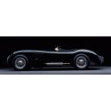 1951 Jaguar C-Type,Don Heiny,HandMade ReadyToHang product,Canvas or Poster,from Stampeequadri