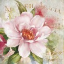 Robinson"Parfum de Paris 1". Amazing Home Decor Flower, Ready to Hang Picture in White and Pink