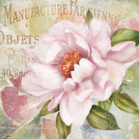 Robinson"Parfum de Paris 2". Amazing Home Decor Flower, Ready to Hang Picture in White and Pink