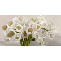 Leonardo Sanna-Tulipes Blanches.Quadro best seller in versione orizzontale con magnifico mazzo di tulipani bianchi