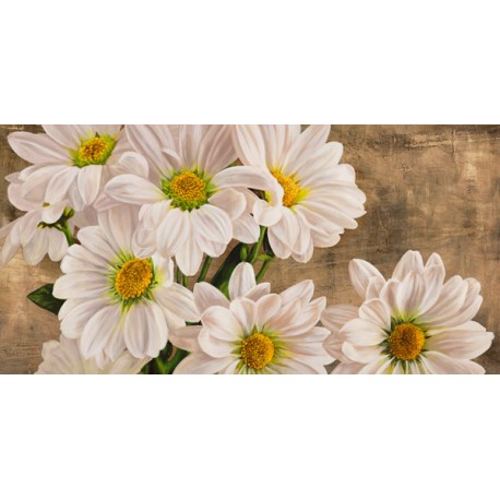 Jenny Thomlinson-Daises In The Moonlight. Magnificent white daises picture for Home Decor