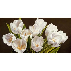 Serena Biffi"Bouquet di tulipani". Magnificent white tulips bouquet picture for Home Decor