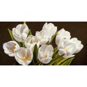 Serena Biffi"Bouquet di tulipani"quadri moderni tulipani ravvicinati in misure e supporti a scelta