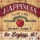 Mc Rae"Happiness" stretched canvas print on 3cm wooden frame with promo message and apple