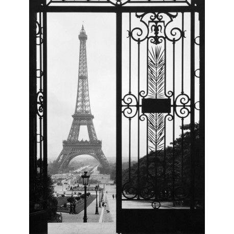 "Eiffel Tower from Trocadero Palace,Paris"Anonymous. Design Picture with Stock Photo view from a gate to the Eiffel Tower