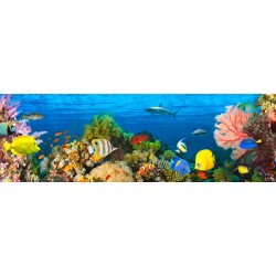 Pangea"Life in the Coral Reef, Maldives", HQ Photo Picture for Home Decor, like an Aquarium