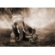 Marc Moreau "Together" Art Poster,Canvas o Quadro Finito Artigianale con elefante e bambino
