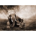 Marc Moreau "Together" Art Poster,Canvas o Quadro Finito Artigianale con elefante e bambino