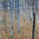 Gustav Klimt - Beech Grove I