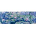 Claude Monet-Ninfee / Waterlilies. Stampa Originale Alta Risoluzione delle Classiche Ninfee Possibilità di Ritocco