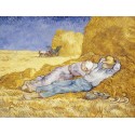 Vincent Van Gogh-Noon:Rest.Stampa ad Alta Risoluzione su Supporti Diversi con Misure a Scelta