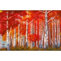"Bosco di Betulle" Angelo Masera. Pictorial HD Image with red birches forest view