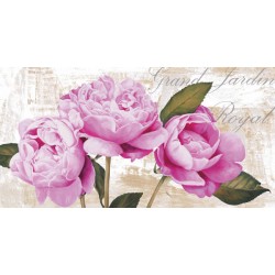 Jenny Thomlinson - Grand Jardin Royal, quadri moderni peonie rosa ravvicinate in misure e supporti a scelta