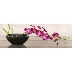 Shin Mills "Orchid Arrangement", horizontal Picture for living or bedroom in a Shabby Style