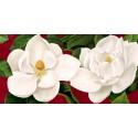 Luca Villa "Magnolie in fiore". Charming white magnolias picture over passion red ground, for Home Decor