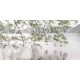 Danita Delimont "Lake Crescent Rainy Day" quadro bianco con vista sul lago