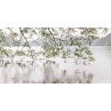 Danita Delimont "Lake Crescent Rainy Day" Ready-to-hang author's Photographic Picture in white, size by choice