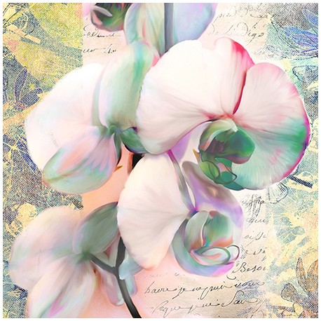 Kelly Parr "Orchid" (detail) Quadro shabby con orchidee, supporti e misure a scelta