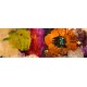 Jim Stone, Floating Flowers I quadri moderni astratti dipinti mano con misure e supporti a scelta