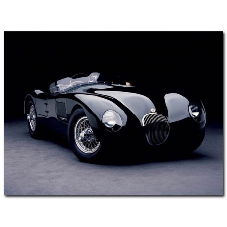 1951 Jaguar C-Type,Don Heiny,HandMade ReadyToHang product,Canvas or Poster,from Stampeequadri