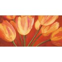 Silvia Mei "orange tulips"- Quadro Floreale con gerbere gialle su canvas di cotone al 100%