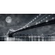 Janis Lacis Brooklyn Bridge at Night, New York City