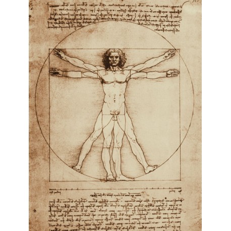 Leonardo Da Vinci"Uomo Vitruviano"-Quadro Pronto con Canvas Originale ad Alta Risoluzione