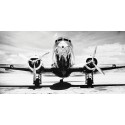 Philip Gendreau "Passenger Airplane on Runway"