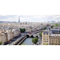 View of Paris by Vadim Ratsensky stampa fotografica