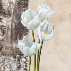 Natura I - jenny Thomslinson White Tulips on high quality print