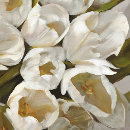 Bianco II- jenny Thomslinson White Tulips on high quality print