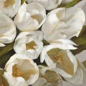 Bianco II- Leonardo Sanna Quadro con Tulipani Bianchi Romantici - Stampa d'Autore su Tela Cotone per Soggiorno o altro