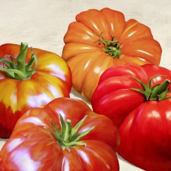 Tomatoes - Remo Barbier on high quality print