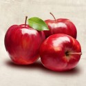 Apples - Remo Barbieri high quality print