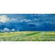 Van Gogh"campo sotto il temporale"-Stampa d'Autore con Misure a Scelta e su Supporti Diversi