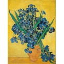 Vincent Van Gogh"iris"-Stampa ad Alta Risoluzione su Supporti Diversi con Misure a Scelta
