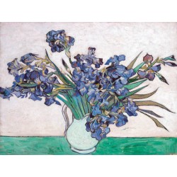 Vincent Van Gogh"Iris I"-Stampa ad Alta Risoluzione su Supporti Diversi con Misure a Scelta