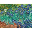 Vincent Van Gogh"Iris II"-Stampa ad Alta Risoluzione su Supporti Diversi con Misure a Scelta
