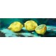Nel Whatmore-Lemons quadro con limoni