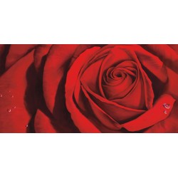 Luca Villa "Madame"- Quadro Floreale con rosa rossa su canvas di cotone al 100%