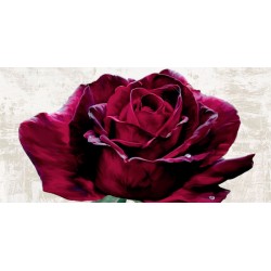 Teo Rizzardi "Purple Dame"- Quadro Floreale con rosa rossa su canvas di cotone al 100%