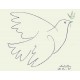 Picasso Pablo -"Colombe Bleue" stampa su pannello ecologico 60x80 pronto da appendere
