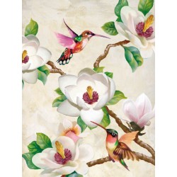 "Magnolia and Humming Birds",Terry Wang.Elegant Picture with Tree Branches, White Flowers and Birds